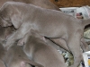 DSCF3151_800